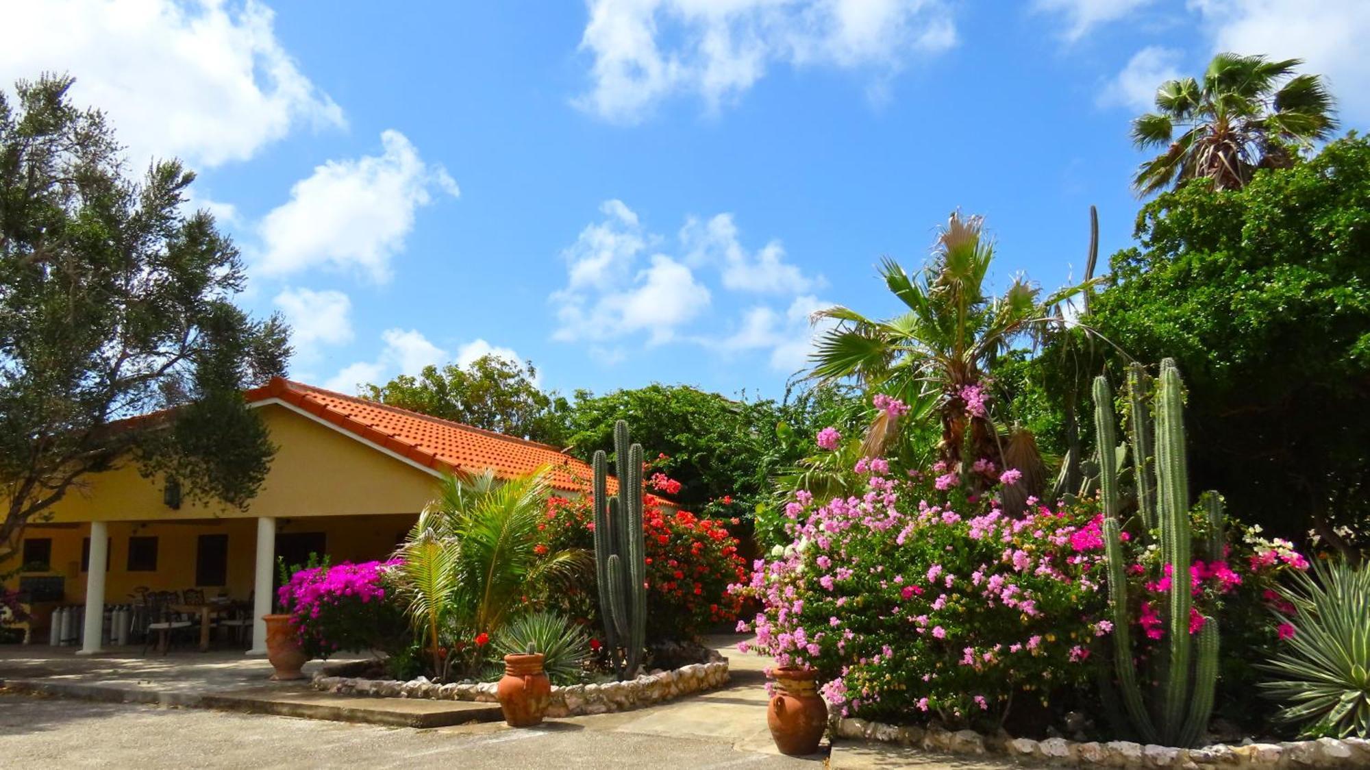 Lagun Blou Resort Curacao ภายนอก รูปภาพ