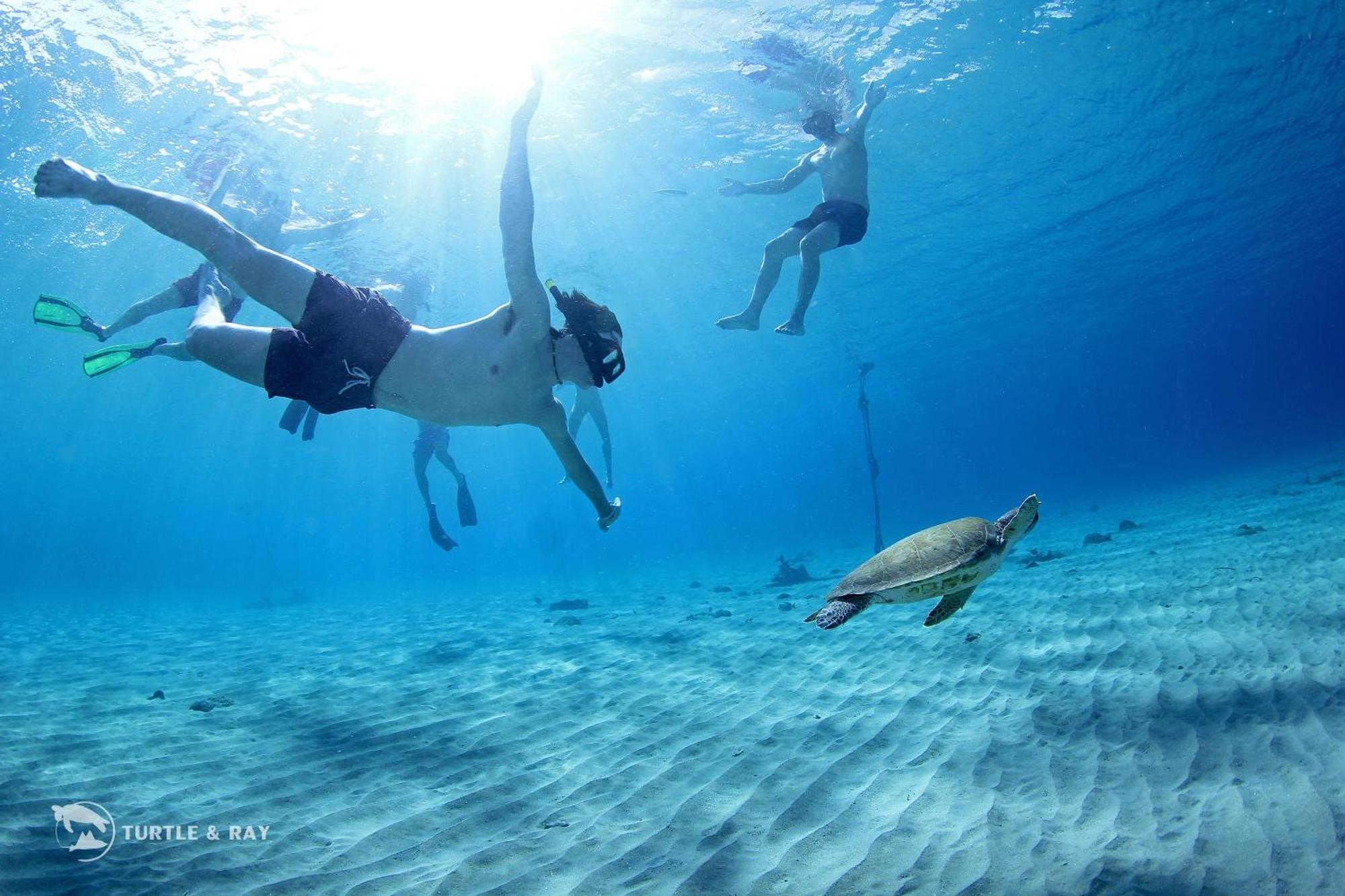 Lagun Blou Resort Curacao ภายนอก รูปภาพ