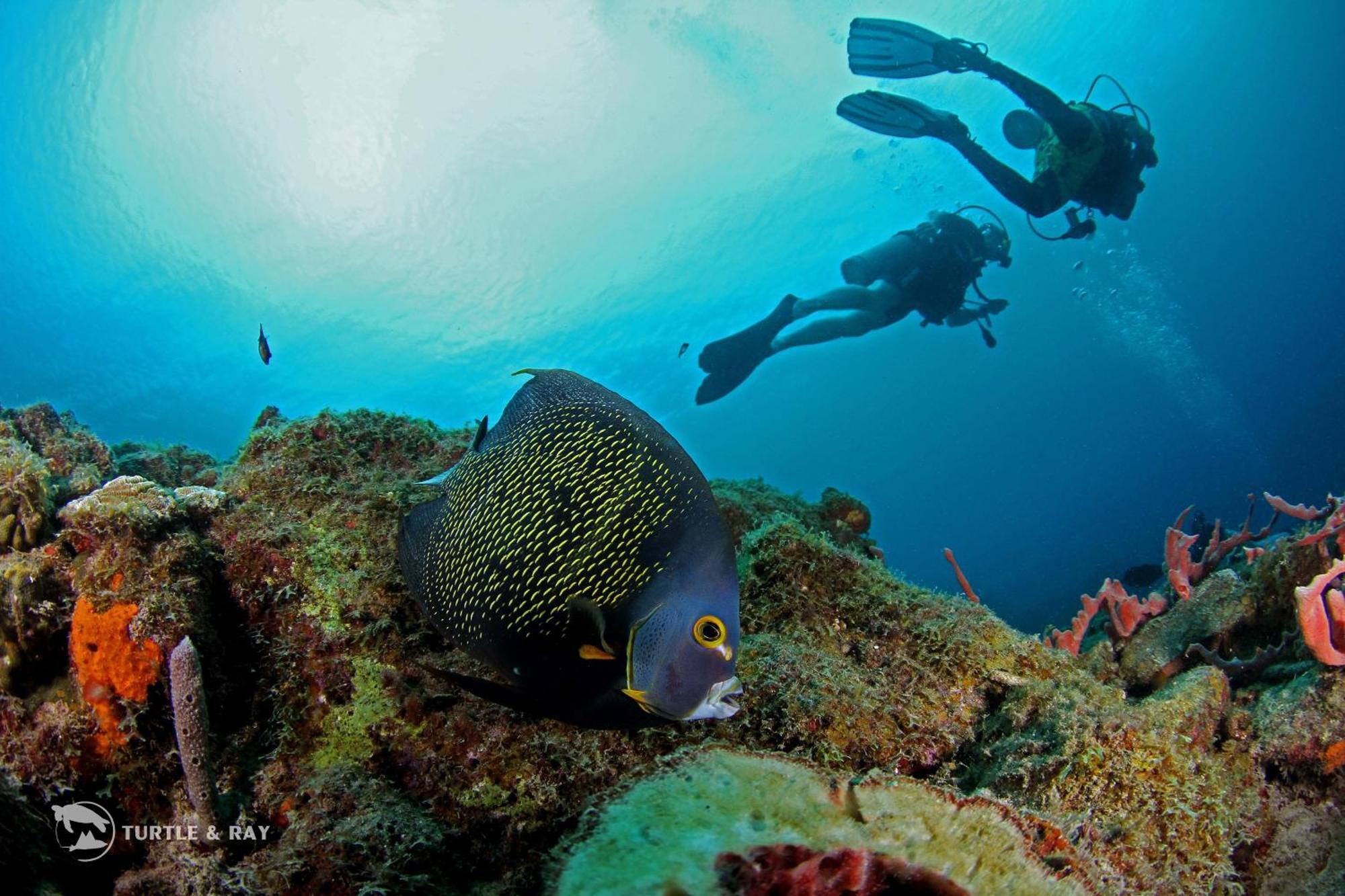 Lagun Blou Resort Curacao ภายนอก รูปภาพ