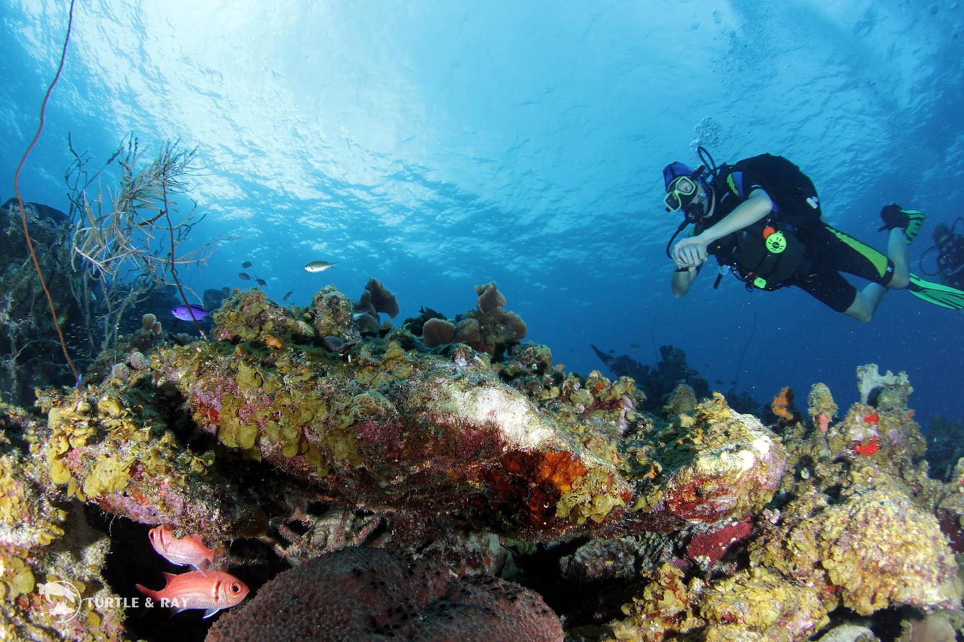 Lagun Blou Resort Curacao ภายนอก รูปภาพ
