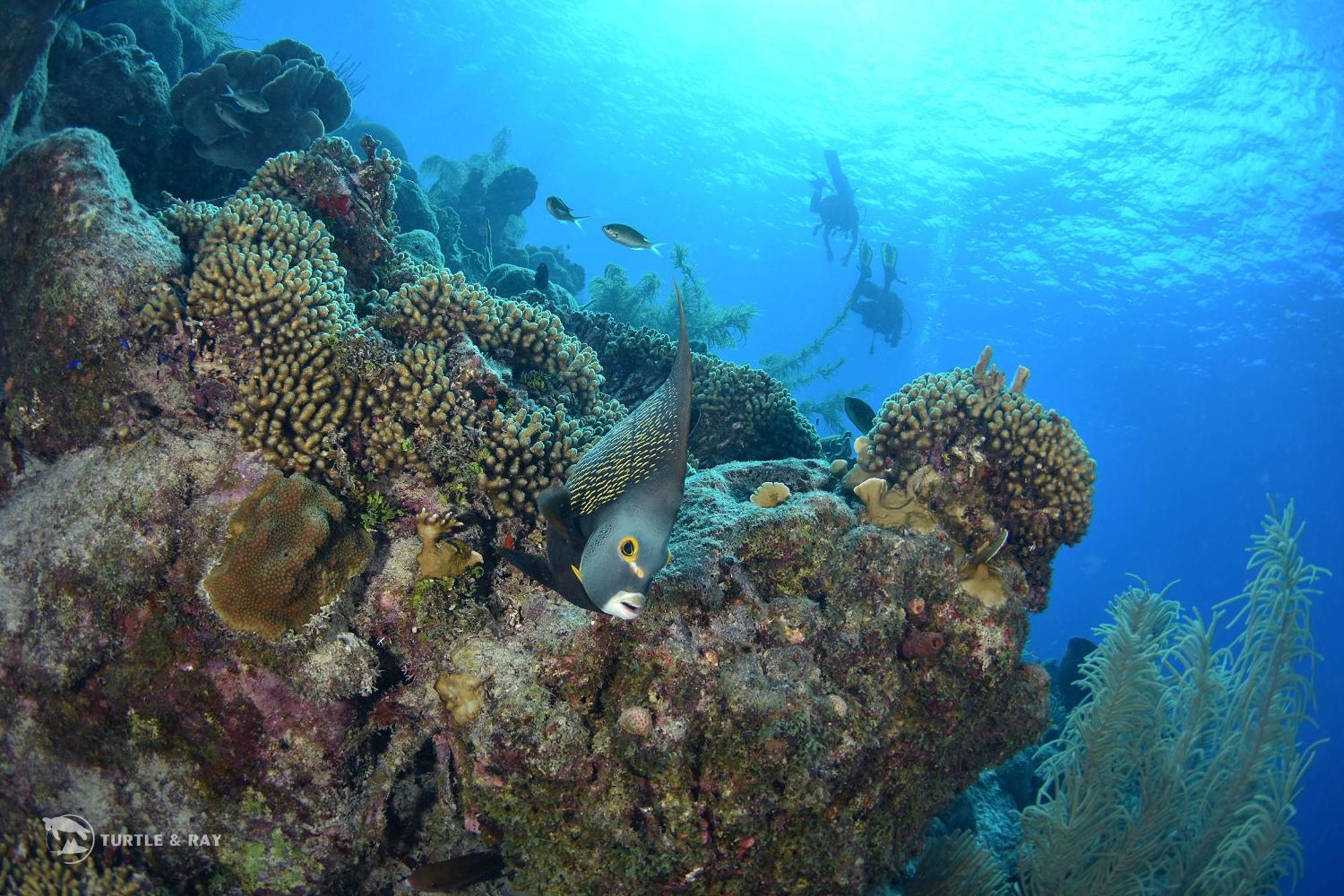 Lagun Blou Resort Curacao ภายนอก รูปภาพ